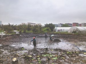 日照河道鱼塘清淤